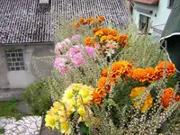 DSCN0433.webp