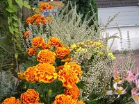 DSCN0429.webp