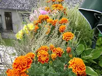 DSCN0428.webp