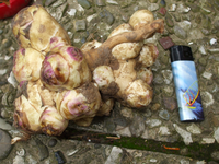 DSCF1450.webp