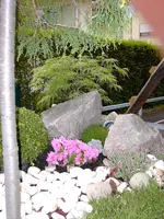garten 002.webp