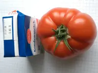 CIMG4027.webp