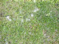 STA70167.webp