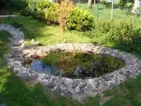 DSC00526Teich!.webp