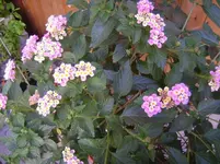 BILD0066.webp