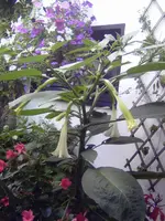 PICT0039.webp