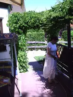 Auf der Terrasse.webp