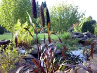 01092008374.webp