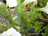 Test 683.webp