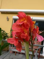P1050231.webp