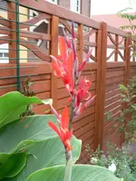 P1050233.webp