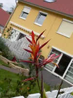 P1050234.webp