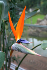 Bild 464.webp
