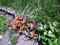 PIC00147.webp