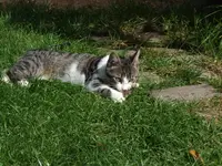 Bild 441.webp