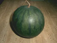 IMAG0055.webp