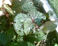 Bild015.webp