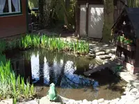 100_0732.webp