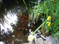 P1000580.webp