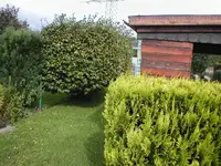 Bild 047.webp