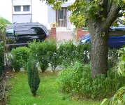 CIMG1838.webp
