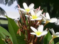 PICT0029.webp