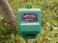 Garten 2008 043.webp
