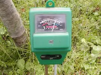 Garten 2008 044.webp