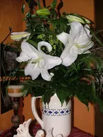 2008_0908Blumen0010.webp