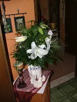 2008_0908Blumen0011.webp