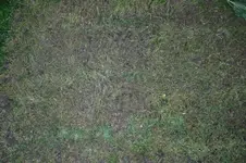 DSC_0888.webp