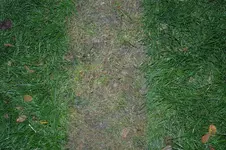 DSC_0890.webp