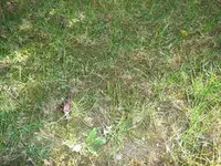 001.webp