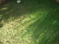 003.webp