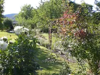 Garten im September 031.webp