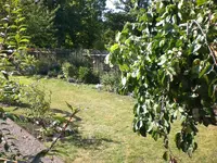 Garten im September 033.webp