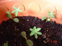 DSC00620.webp