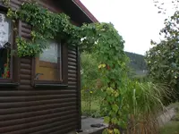 Garten im September2 019.webp