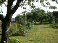 Garten im September2 005.webp