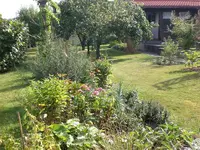 Garten im September2 009.webp