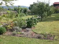 Garten im September2 006.webp