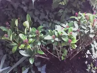 11-09-08_1034.webp