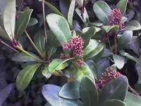 11-09-08_1035.webp