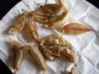 DSCN0473.webp