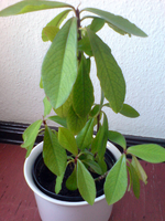 Bild 001.webp