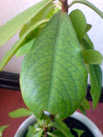 Bild 002.webp