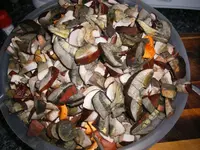 2006_0831pilze0051.webp