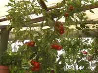 2008_09_13_001.webp