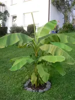 K1024_P1030266.webp
