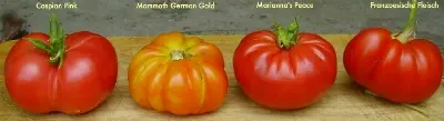 4Fleisch-1-1-1.webp